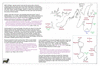 coo0e08 1763 st pierre_thumb.gif